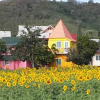 Happy Time Homestay
