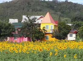 Happy Time Homestay