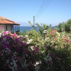 Villa Sofia