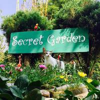 Secret Garden