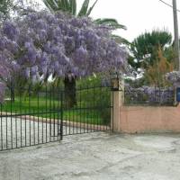 Spiros House