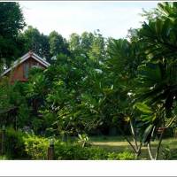 Phuphiangkhiangfah Resort