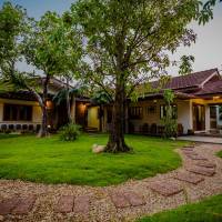 Tree Home Plus