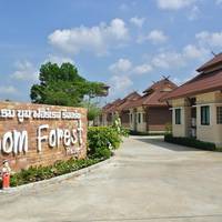 Boom Forest Resort