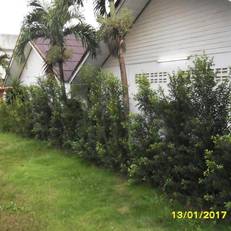 Aonang SR Bungalows