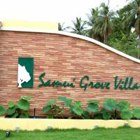 Samui Grove Villas