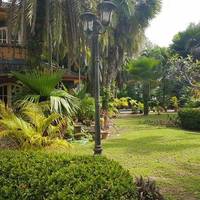 Palm Villa And Pool