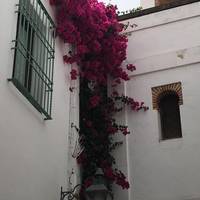 Apartamentos La Hoguera