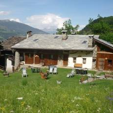 Les Chevreuils
