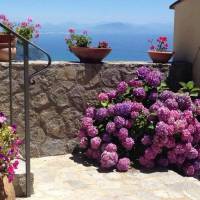 Guest House Malu