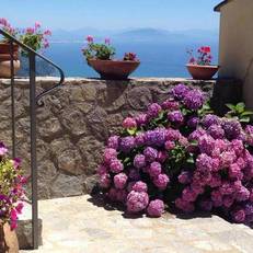 Guest House Malu
