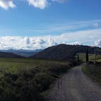 Agriturismo Alle Rose