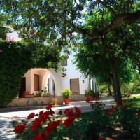 Chalet Cami d'en Gala