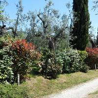 Appartamento Il Palagio