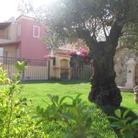 Casa dell'Ulivo