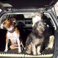 B&B Millefiori - Pet Friendly