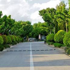Bungalows - Camping El Solsones