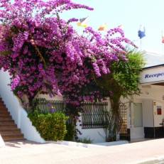 Siesta Mar