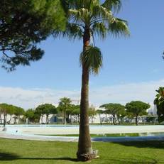 Apartamento Almadraba