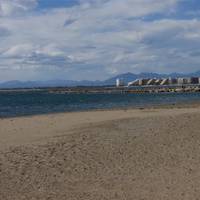 Agi Sant Isidre