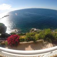 Apartament Belvedere