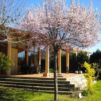 Casa La Magnolia