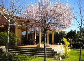 Casa La Magnolia