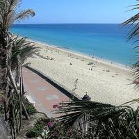 Palm Garden