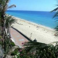 Palm Garden