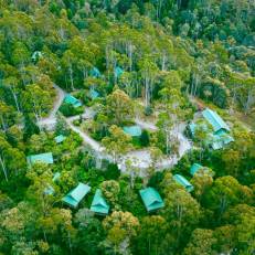 Lemonthyme Lodge