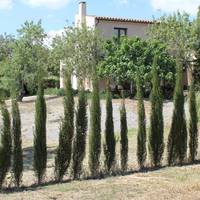Vall d'Arpes