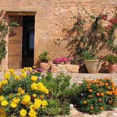 Finca Sa Cova Vella