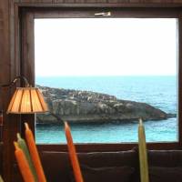 Apartamentos Turisticos Las Nieves Playa