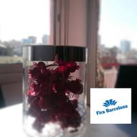 Apartment Fira Barcelona Gran Via