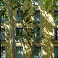 Abba Rambla
