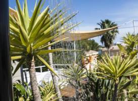 Beach Rooms