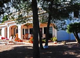 Casa Del Artista Bed & Breakfast