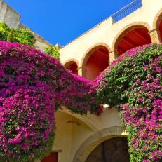 Apartaments Can Gibert