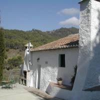 Allalante