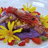 Baia Delphis Resort