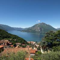 Gli Ulivi