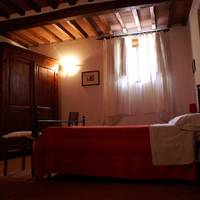Oliveto di Teodora