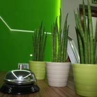 Hostal La Estacion
