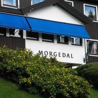Morgedal