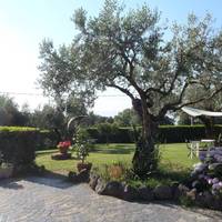 Il Poggio Degli Ulivi