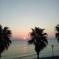 Le Palme