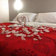 Coral Rooms