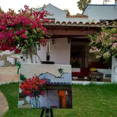 La Tortuga Hostel