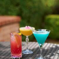 Hyatt Hotel Canberra - A Park Hyatt Hotel