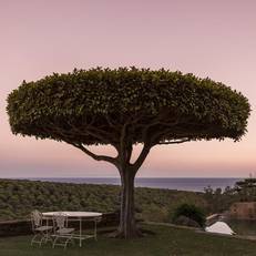 Finca El Canuelo